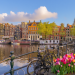 Best Time to Travel to Amsterdam – Seasonal Tips