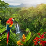 Best Time to Travel to Costa Rica for Your Perfect Trip