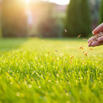 Grass Seed Guide – Grow a Lush Green Lawn Fast