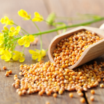 Mustard Seed Meaning – Faith and Health Benefits